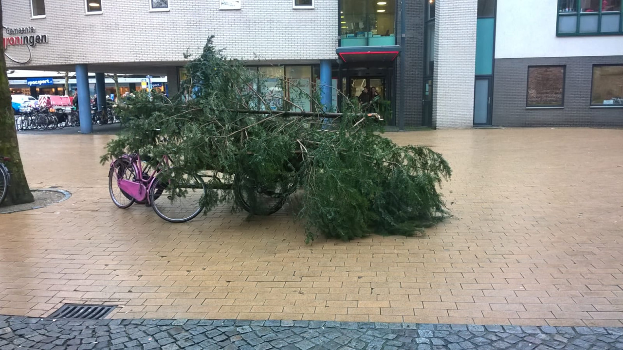 kerstboom 2