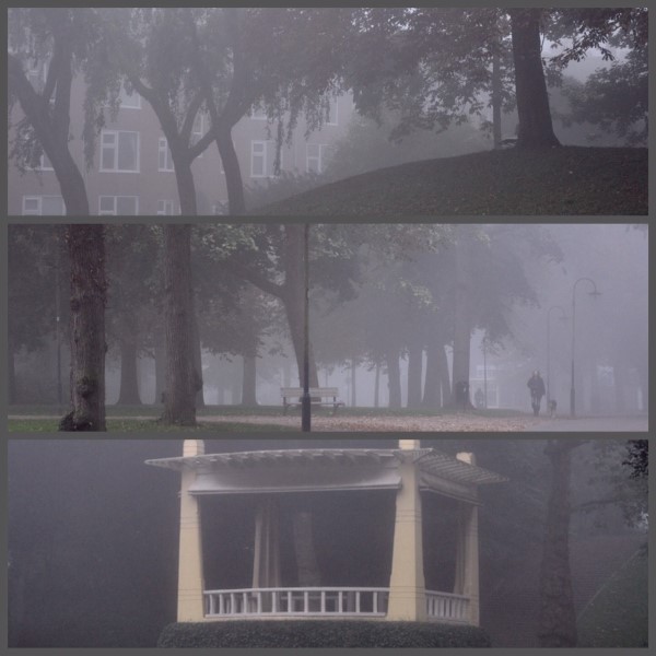 mist 2 600 x 600