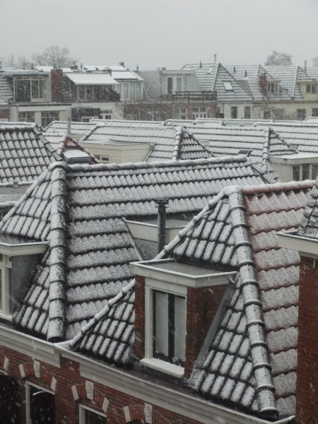 DSCF0721 450 x 600