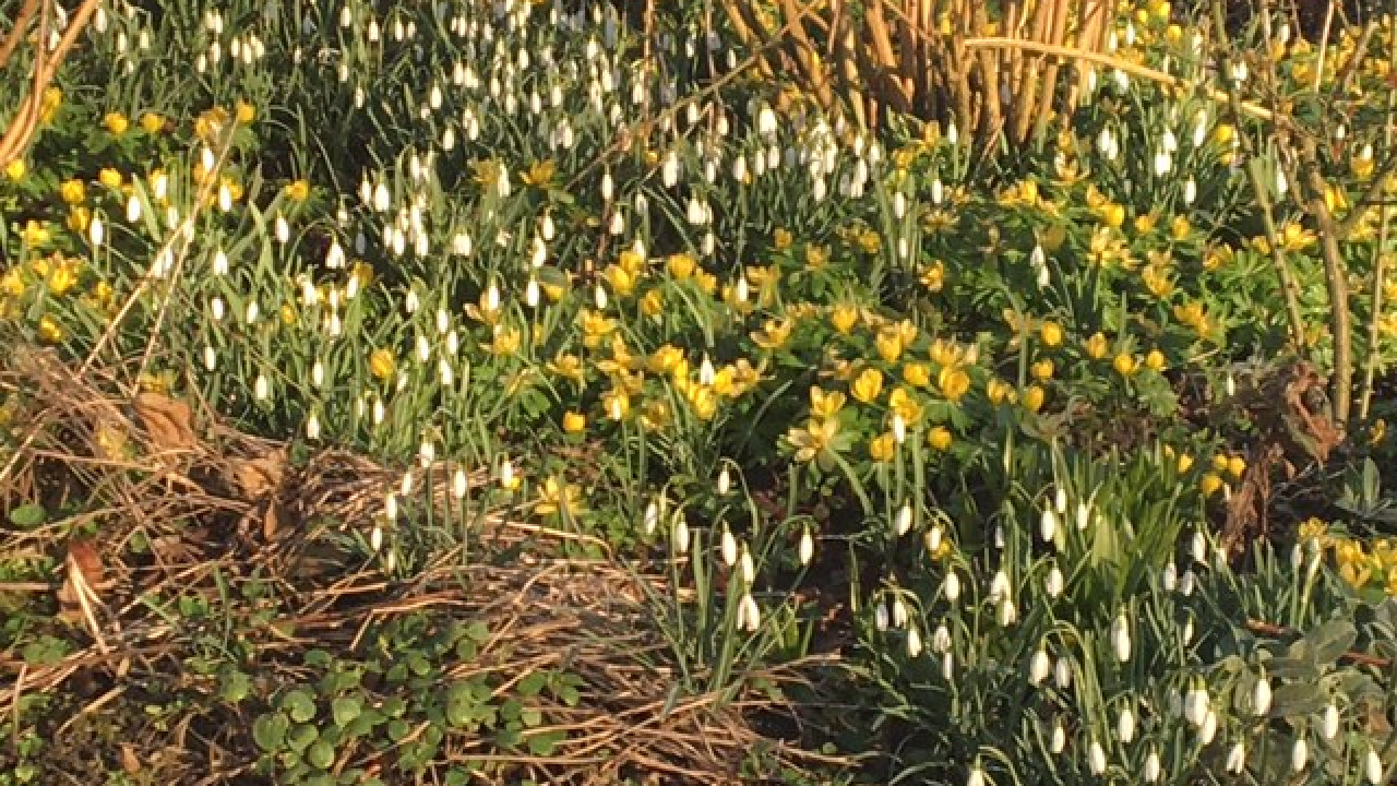 Lente 2