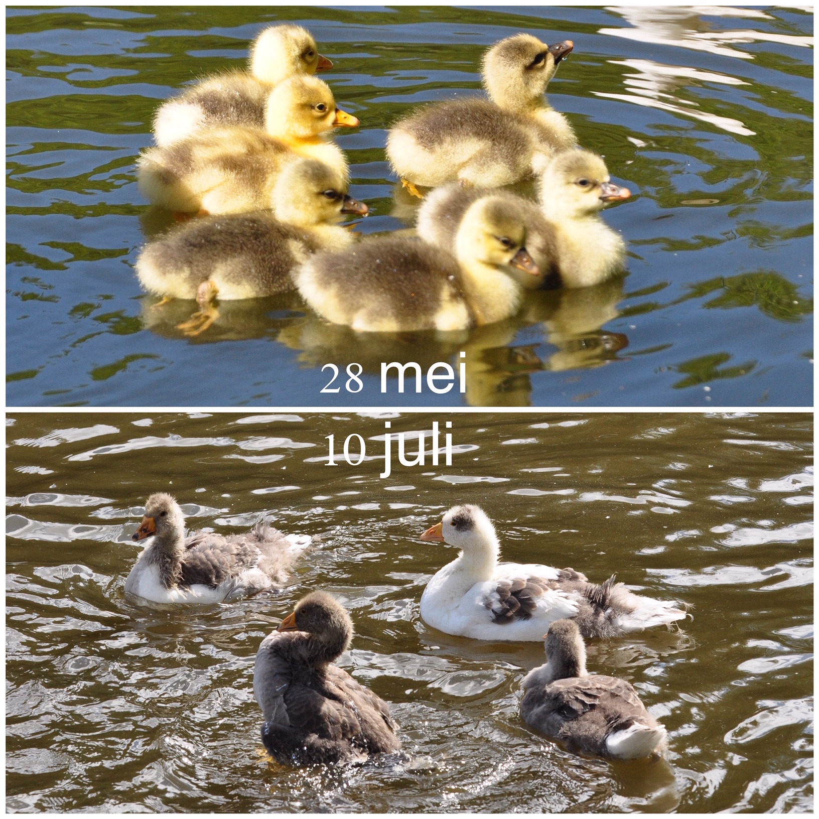 week 27 JG 03
