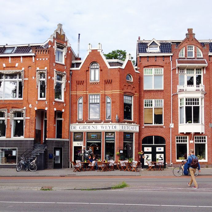 Groene weyde foto