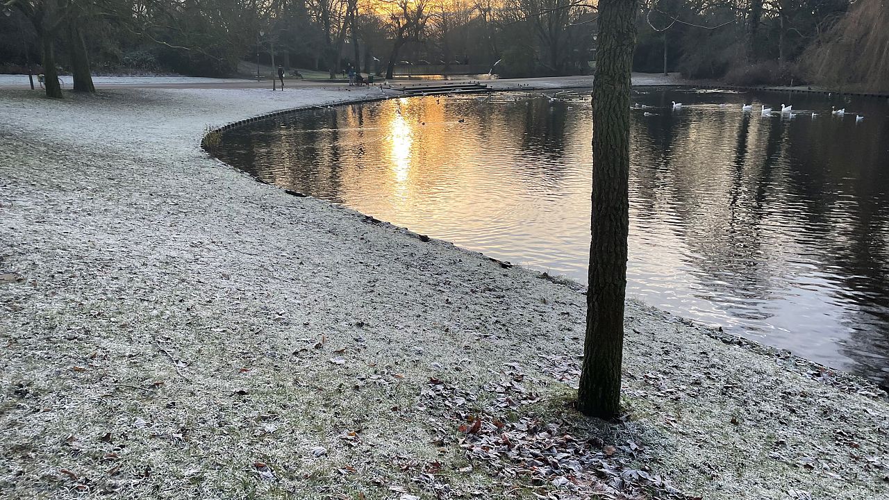 Plantsoen winters 2021 1