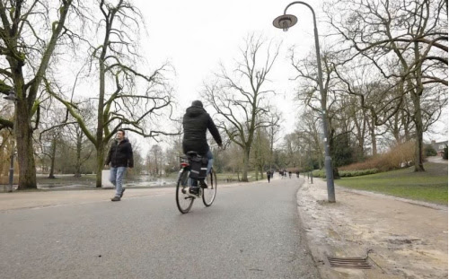 Wijkwandelingen met wethouder Carine Bloemhoff