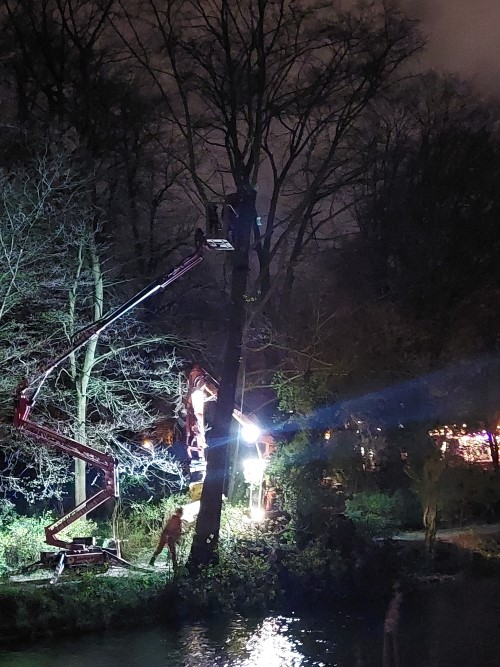 Nachtelijk werk zagen boom NP 70422 01 klein