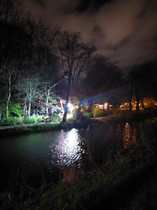 Nachtelijk werk zagen boom NP 70422 02 klein