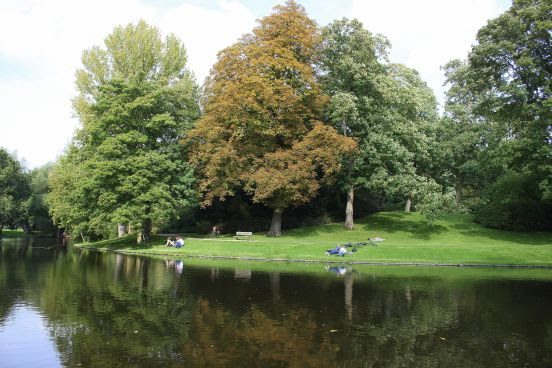 Gemeentelijke Ecologische Structuur (GES) beschermt planten en dieren