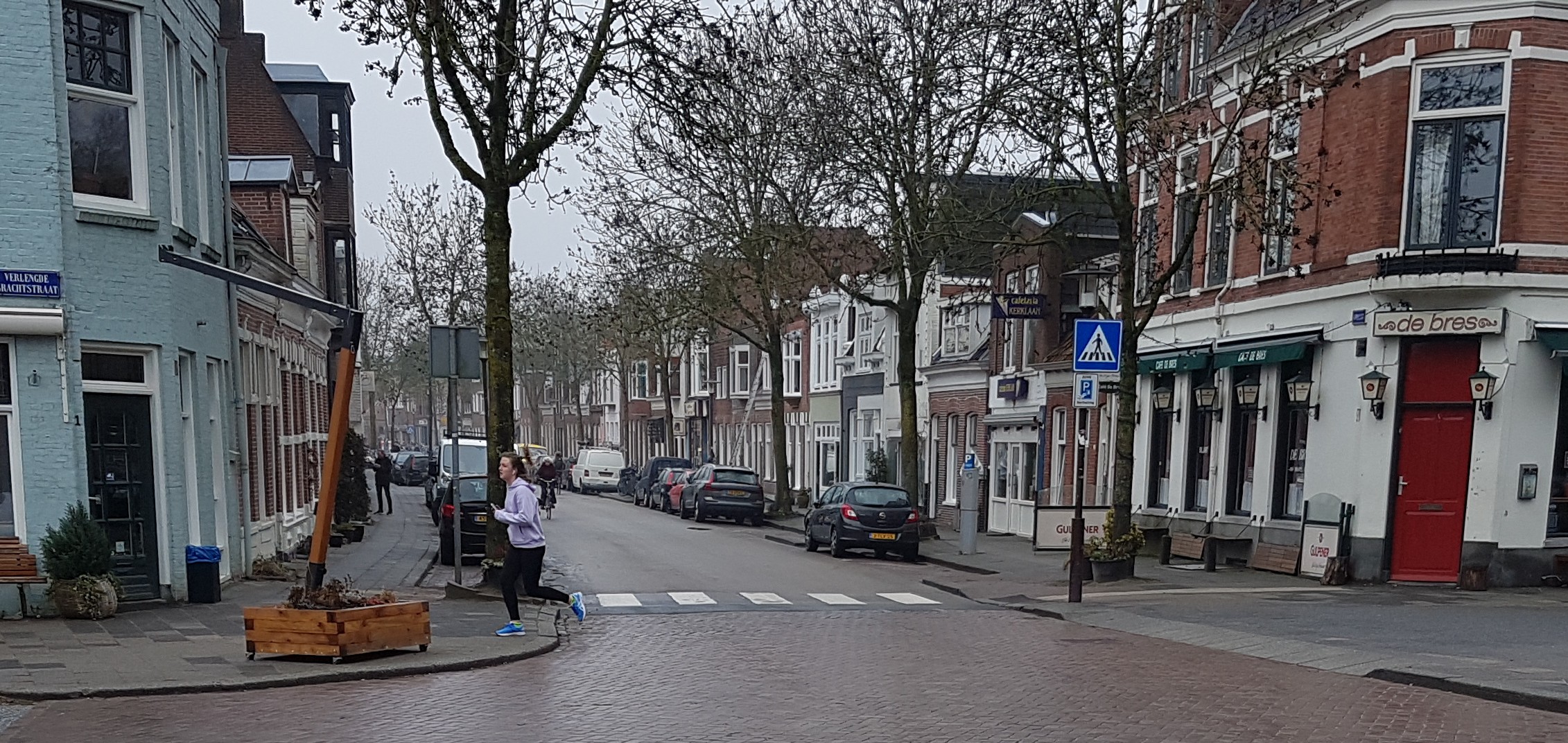 Ontdek het groen in jouw buurt: interactieve bomenkaart