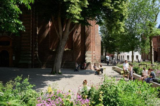 Bomenplan vastgesteld: samen naar meer bomen in 2075