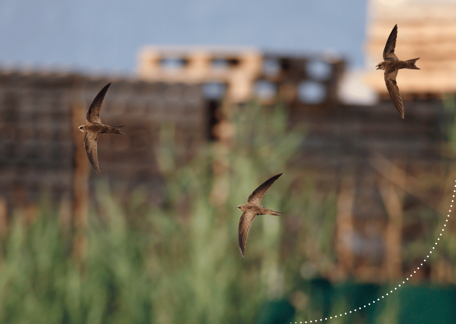 Natuurvriendelijk isoleren