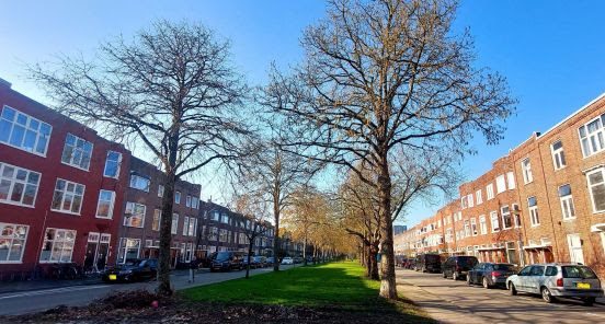 Buren voor Buren – samen maken we de buurt sterker