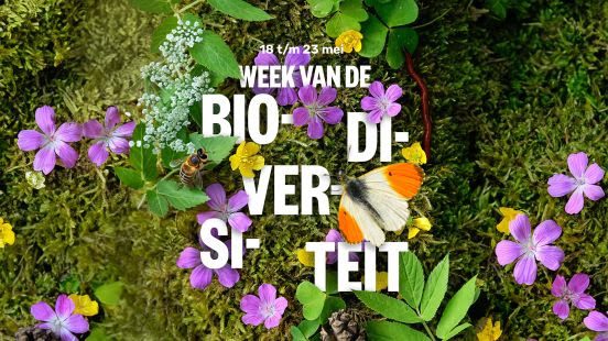 Week van de Biodiversiteit zet Groningse natuur in de schijnwerpers