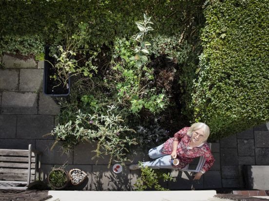 Van betegeld voortuintje naar bloemrijke minituin